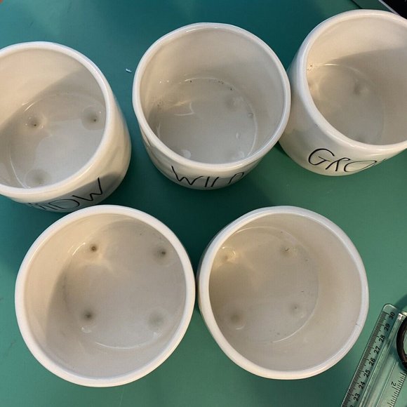 Set of 5 Rae Dunn Mini Planters - Picture 3 of 11